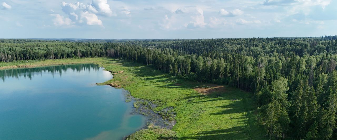 земля городской округ Дмитровский Удинские дачи кп фото 9