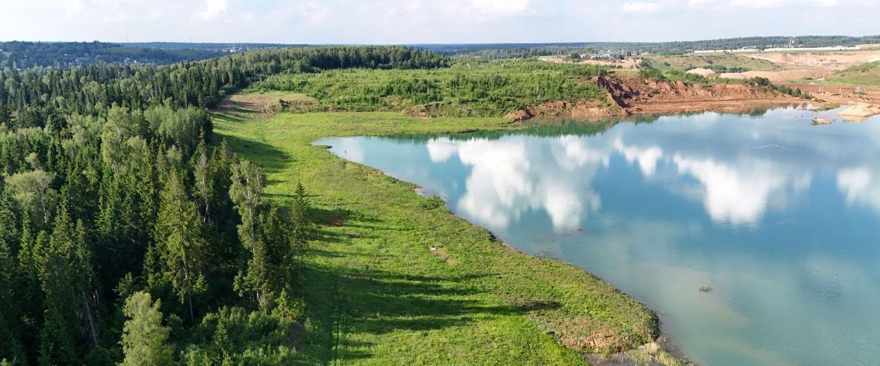 земля городской округ Дмитровский Удинские дачи кп фото 13