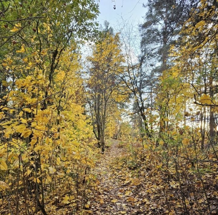 земля р-н Всеволожский Токсовское городское поселение, Токсово городской поселок, Девяткино, ул. Пляжная, 5 фото 20