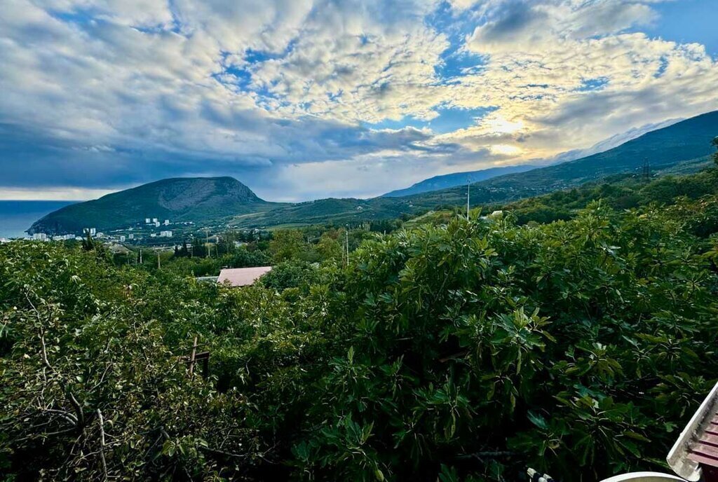 дом г Алушта с Пушкино ул Весенняя фото 13