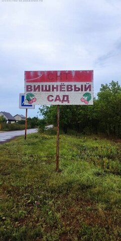 р-н Ленинский сад снт Вишневый дачный массив Ростоши-2, сад фото