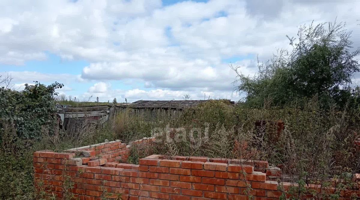 дом р-н Марьяновский д Голенки ул Дорожная фото 18