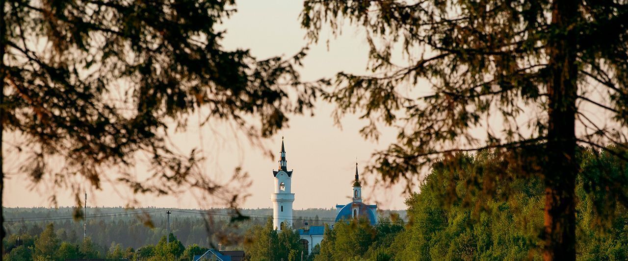 земля городской округ Истра д Максимовка фото 30