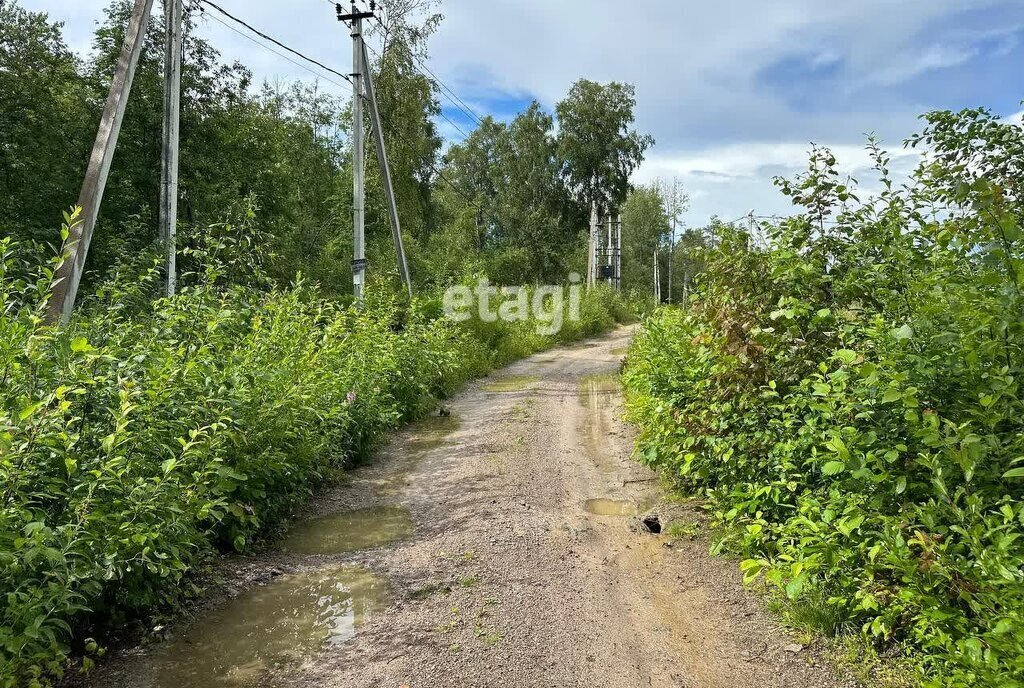 земля р-н Бокситогорский д Новое Бокситогорское городское поселение фото 1