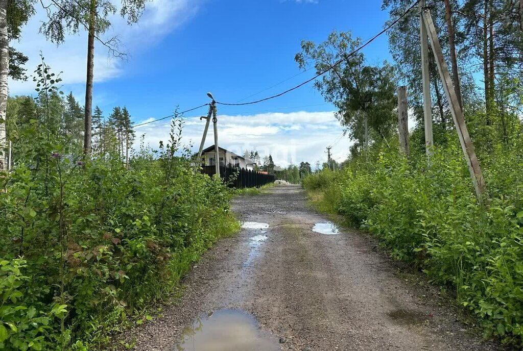 земля р-н Бокситогорский д Новое Бокситогорское городское поселение фото 4