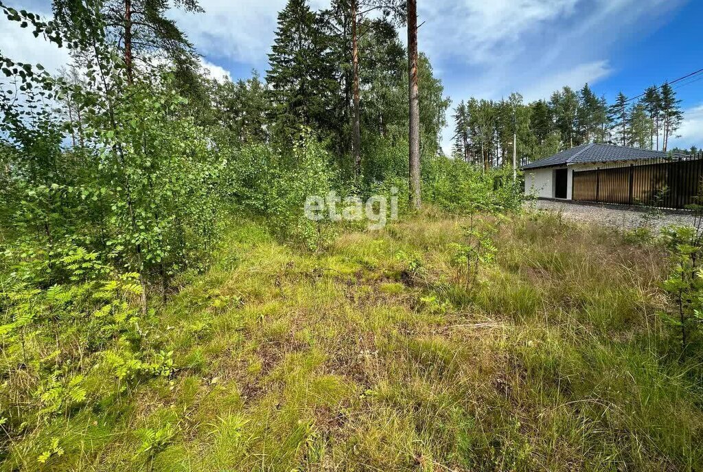 земля р-н Бокситогорский д Новое Бокситогорское городское поселение фото 3