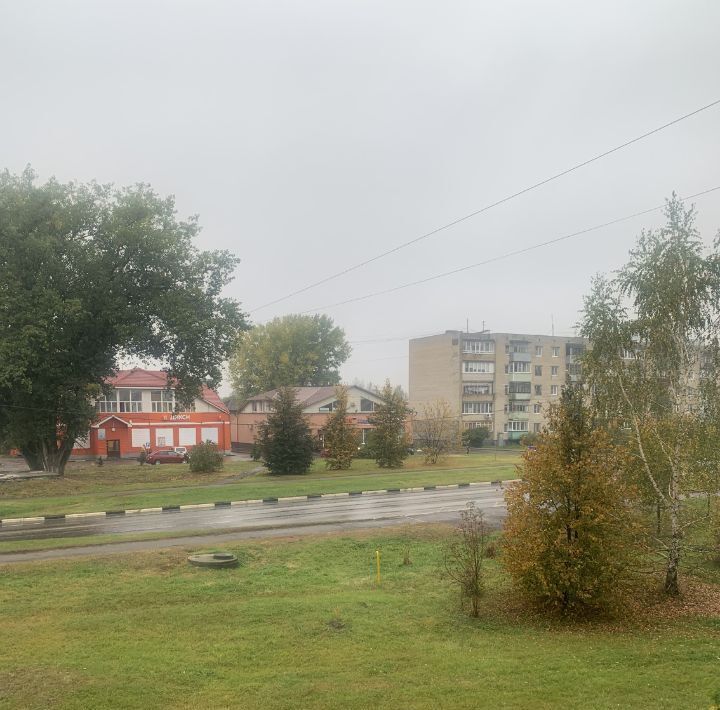 квартира г Электрогорск ул М.Горького 14 Павлово-Посадский городской округ фото 6