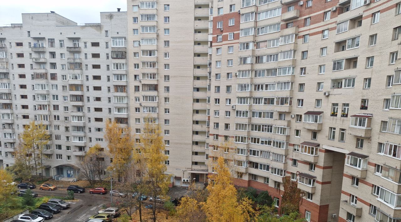 квартира г Санкт-Петербург метро Комендантский Проспект пр-кт Комендантский 11 фото 14