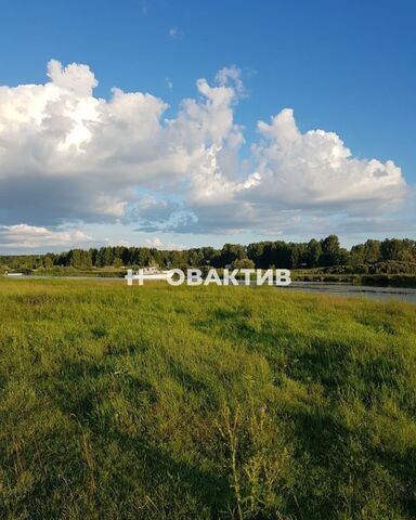 ул Луговая 4 дачное некоммерческое товарищество Шараповское фото