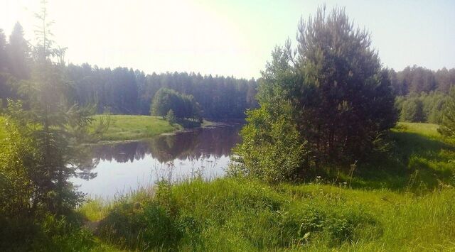 земля д Лисавы Переславль-Залесский муниципальный округ фото