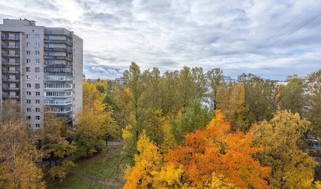 квартира г Санкт-Петербург метро Академическая ул Софьи Ковалевской 7к/5 фото 1