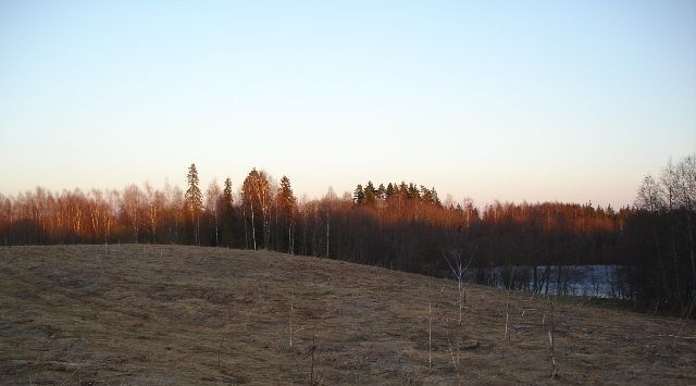 земля р-н Валдайский Костковское с/пос фото 4