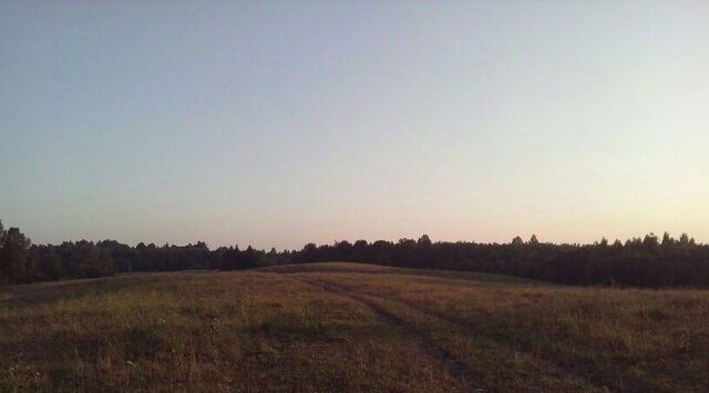 земля Насвинская волость, д. Коростели Горожанский сельсовет фото