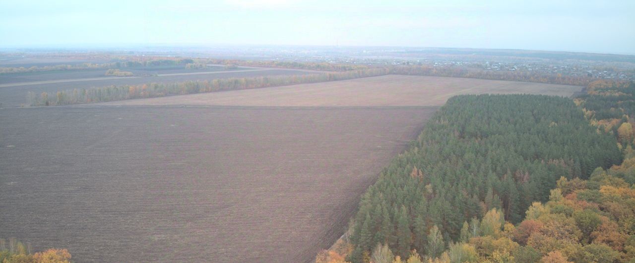 земля р-н Ржаксинский п Тамбовский Кузьмино-Гатьевский сельсовет фото 1