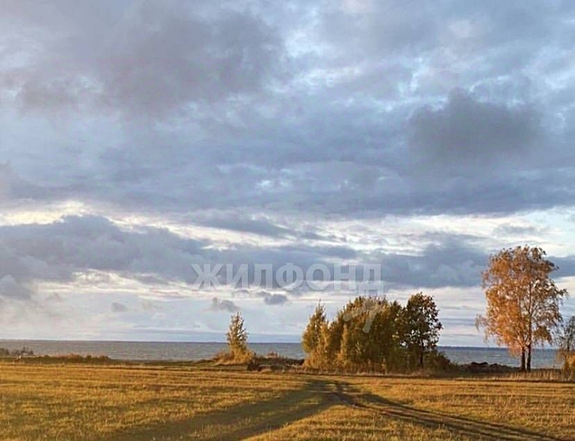 дом р-н Искитимский с Сосновка ул Школьная сельсовет, Совхозный фото 20