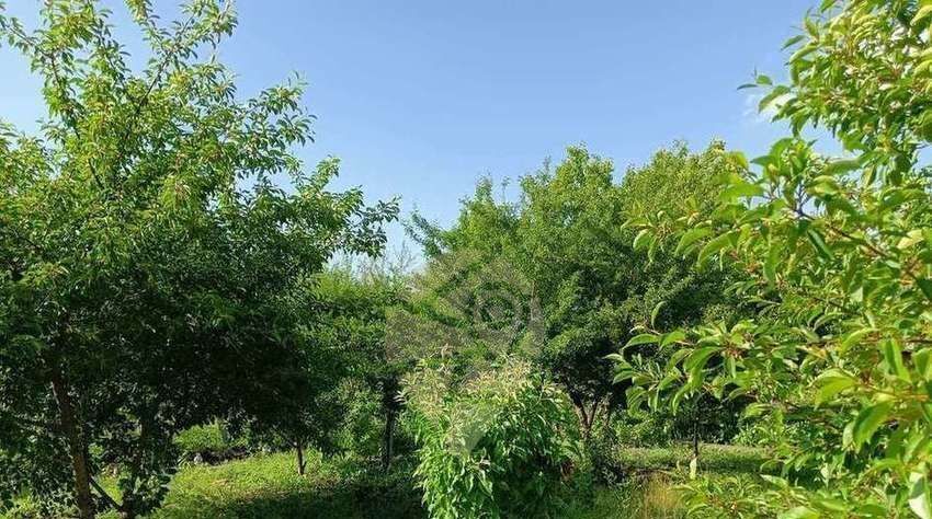 дом р-н Старооскольский снт Береговое Старооскольский городской округ фото 8