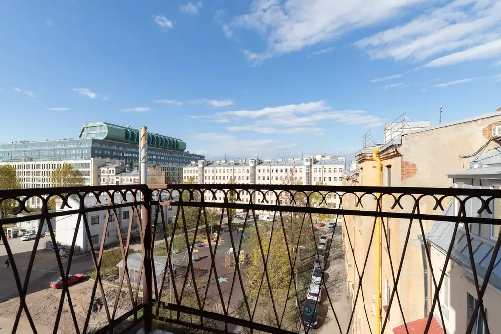 квартира г Санкт-Петербург метро Чкаловская ул Большая Разночинная 19 Ленинградская область фото 17