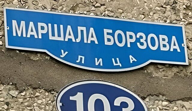 ул Маршала Борзова 103 фото