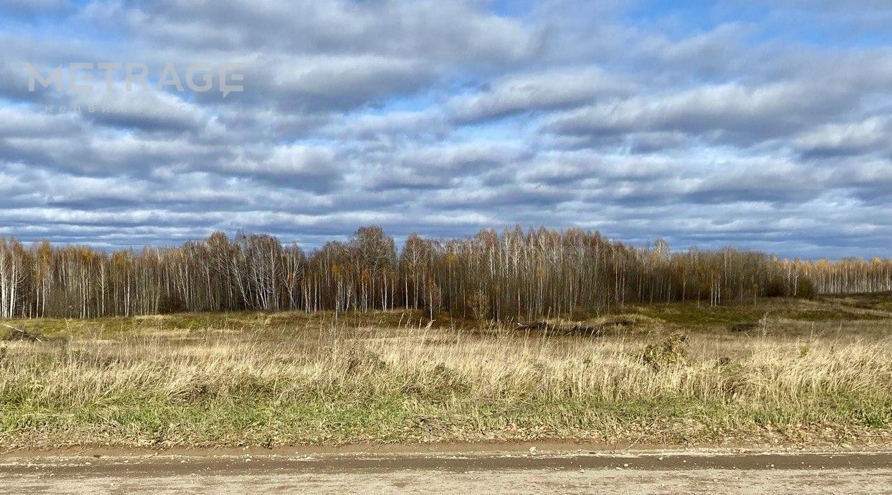 офис р-н Новосибирский с Каменка Каменский сельсовет фото 2