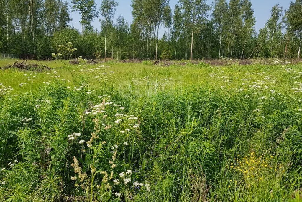 земля городской округ Орехово-Зуевский коттеджный посёлок Жемчужный фото 2