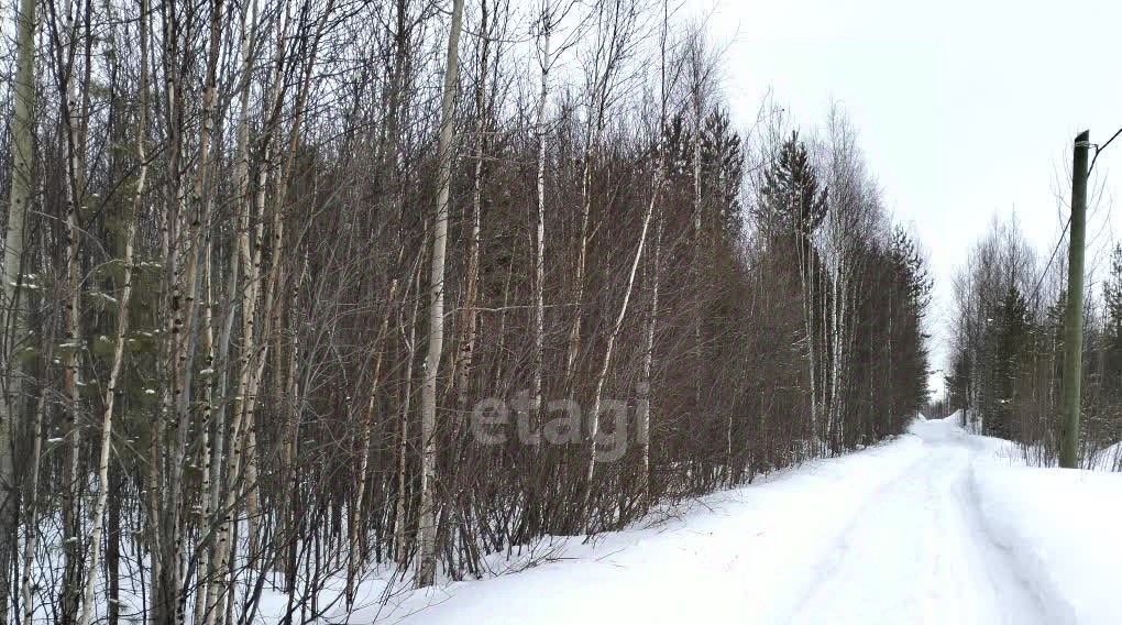 земля г Ханты-Мансийск снт Геофизик-2 СОТ фото 4