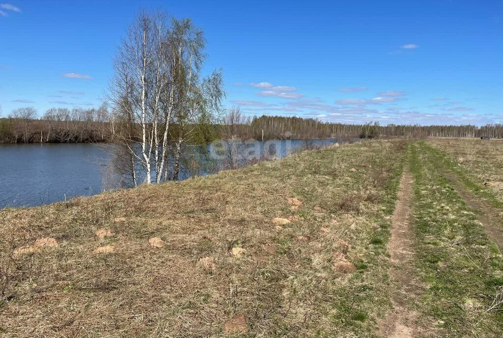 земля р-н Некрасовский д Шачебол сельское поселение Красный Профинтерн фото 7