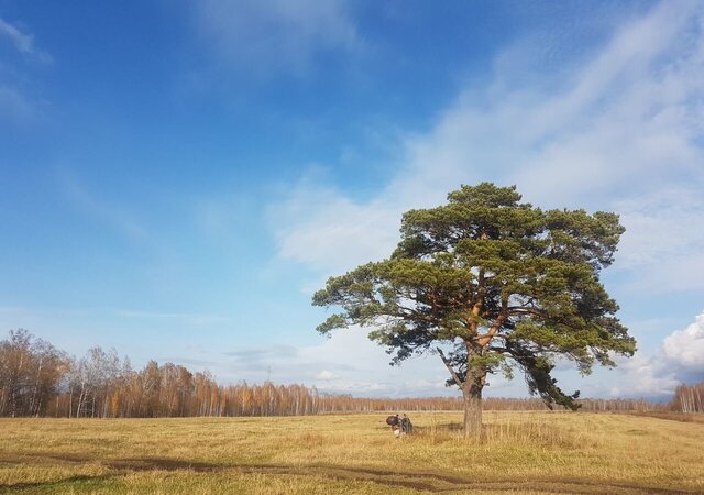 земля округ Муром, Муром фото