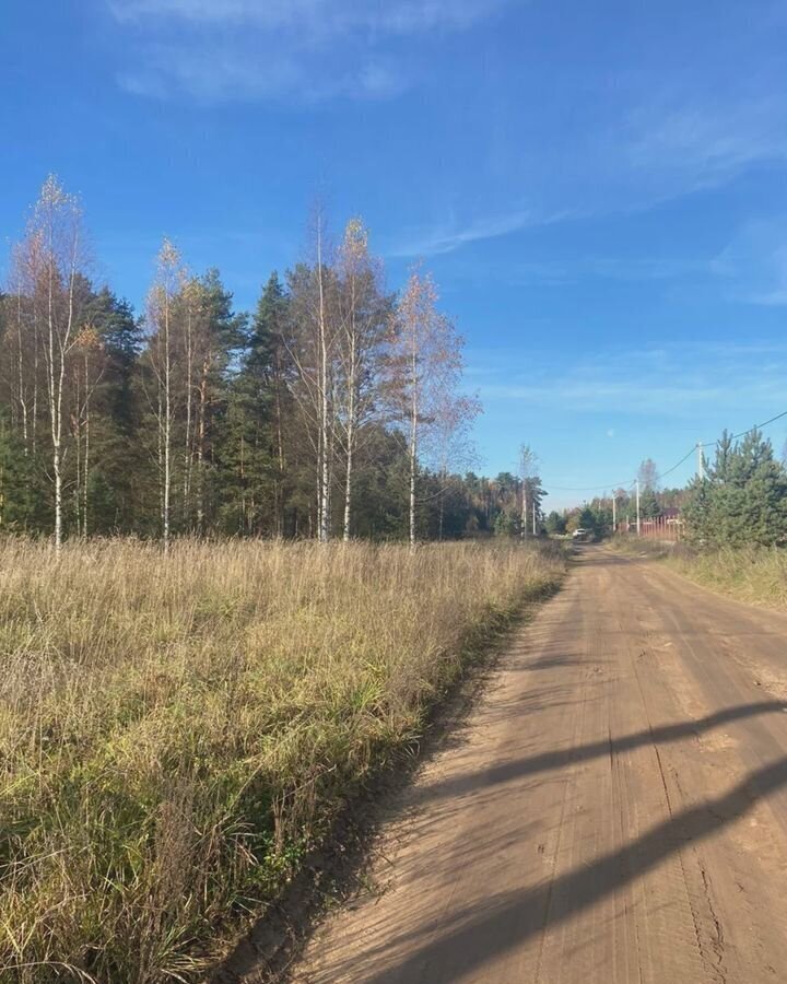 земля р-н Волосовский д Малый Сабск Таллинское шоссе, 90 км, Сабское сельское поселение, Кингисепп фото 6