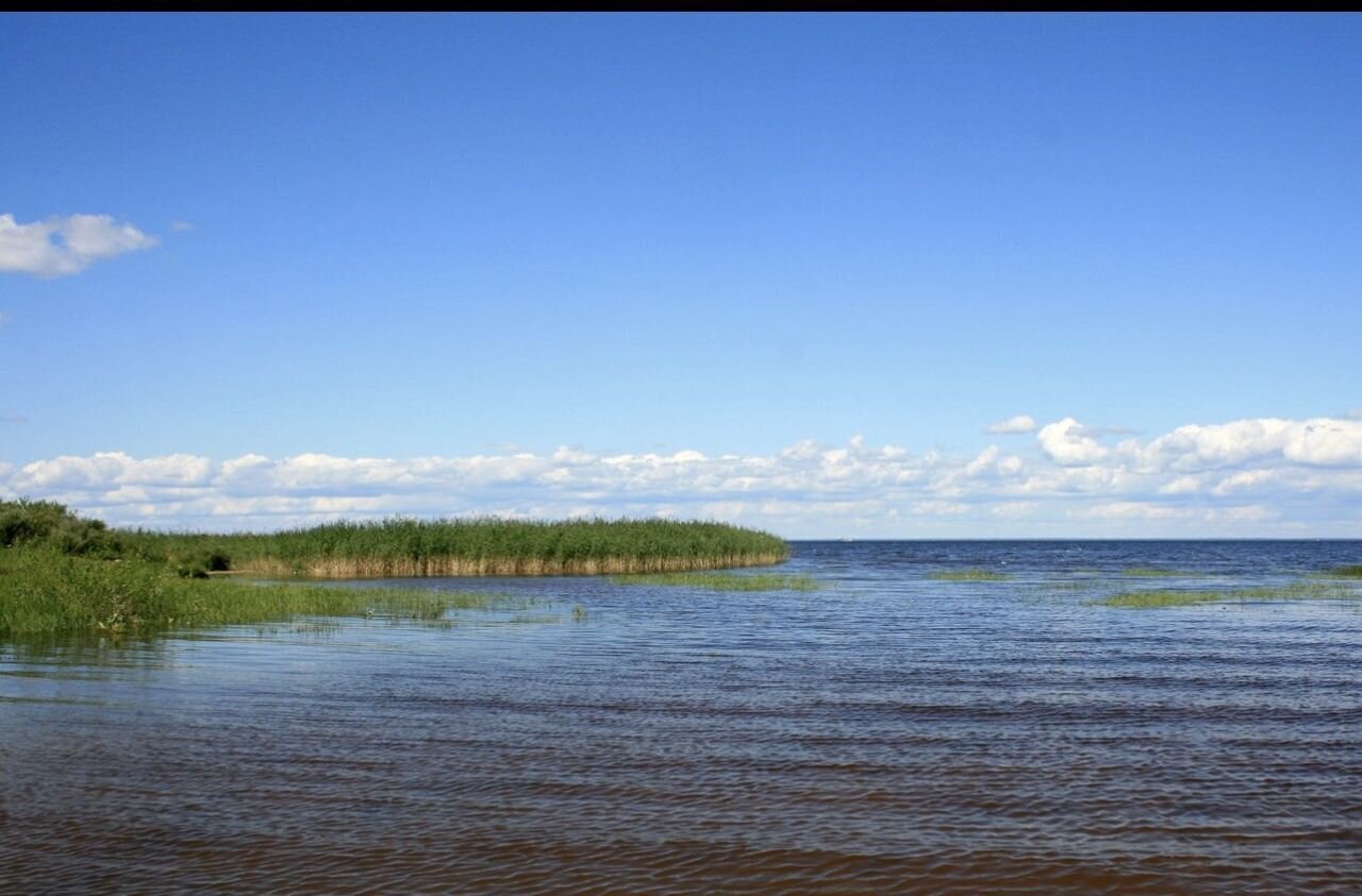 производственные, складские р-н Вологодский с Кубенское ул Чернышевского Молочное фото 12