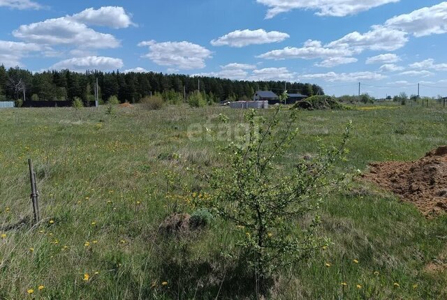 р-н Дзержинский Вагонка фото