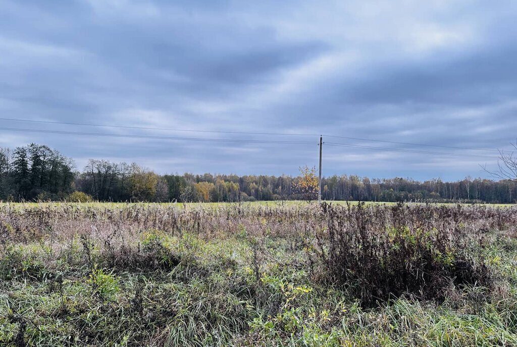 земля городской округ Дмитровский фото 4