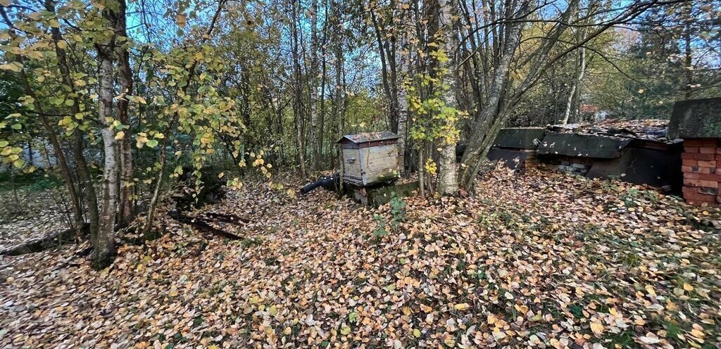 земля р-н Кировский д Кобона Новоладожский канал, 2-я линия фото 4