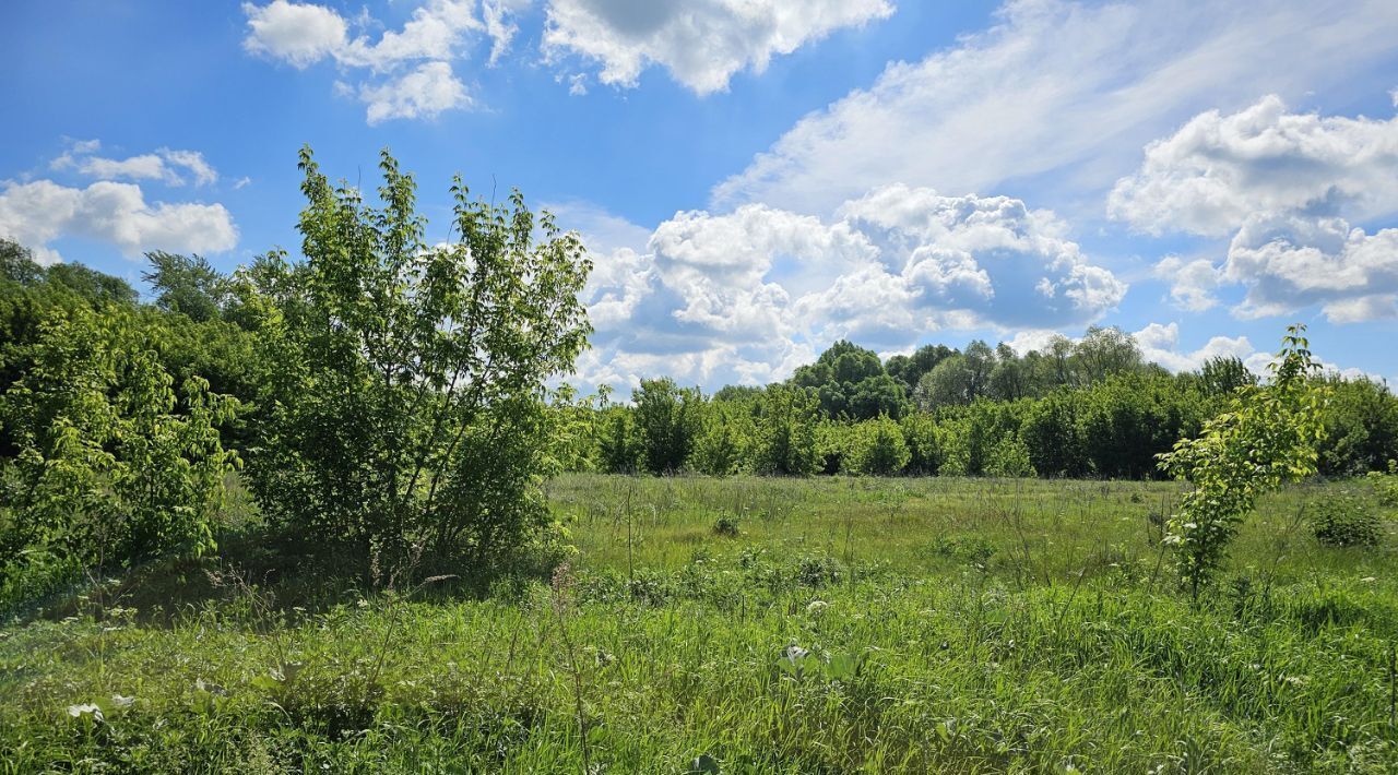 офис городской округ Луховицы д Гольный Бугор фото 2