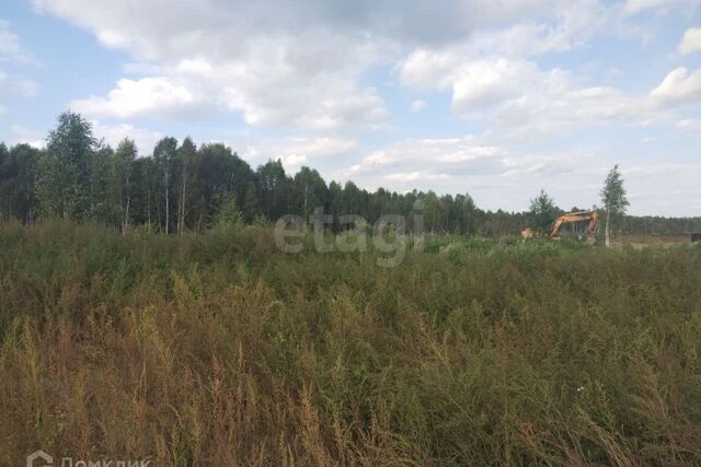 земля Тюмень городской округ, СНТ Светлое фото