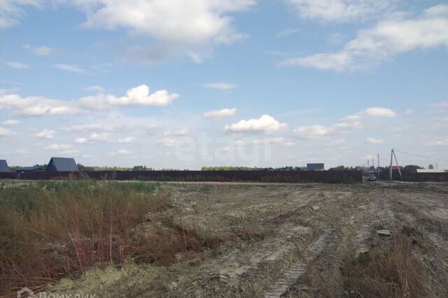 Тюмень городской округ, СНТ Светлое фото