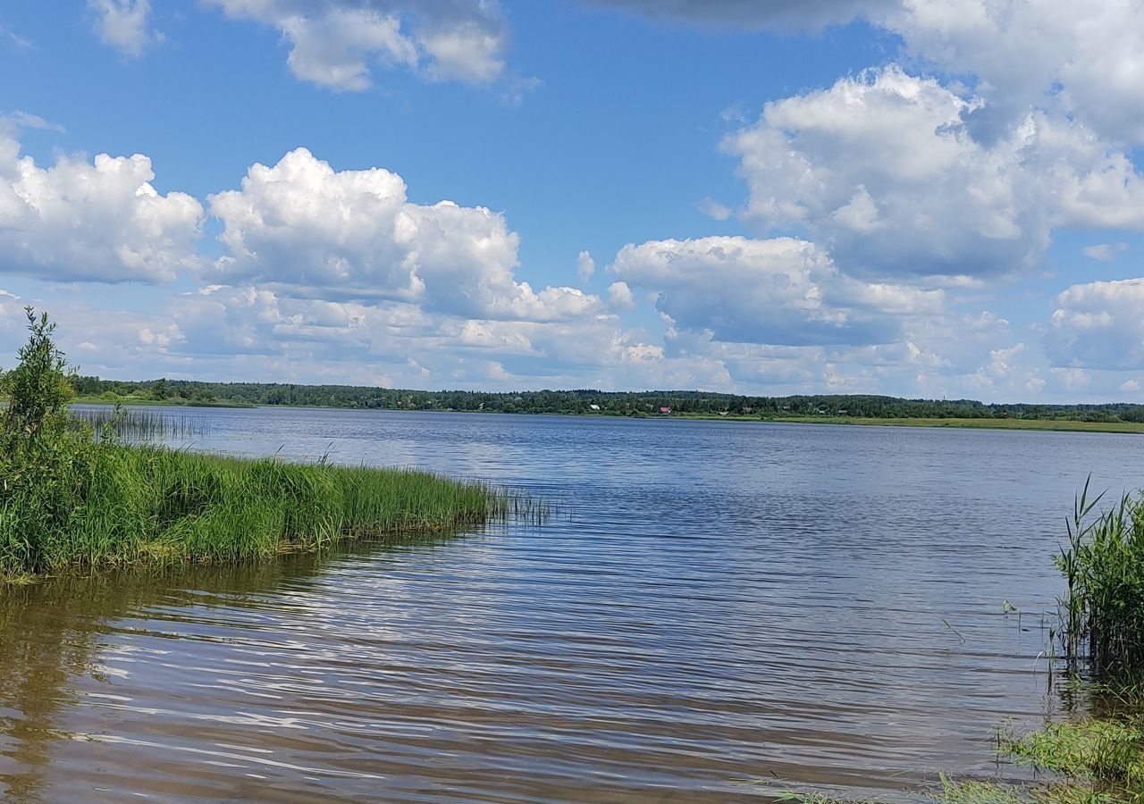 дом городской округ Волоколамский с Язвище ул Троицкая 33 76 км, Сычево, Новорижское шоссе фото 18