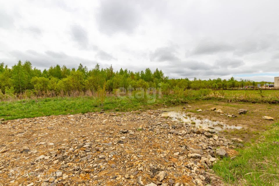 земля р-н Хабаровский село Виноградовка фото 3