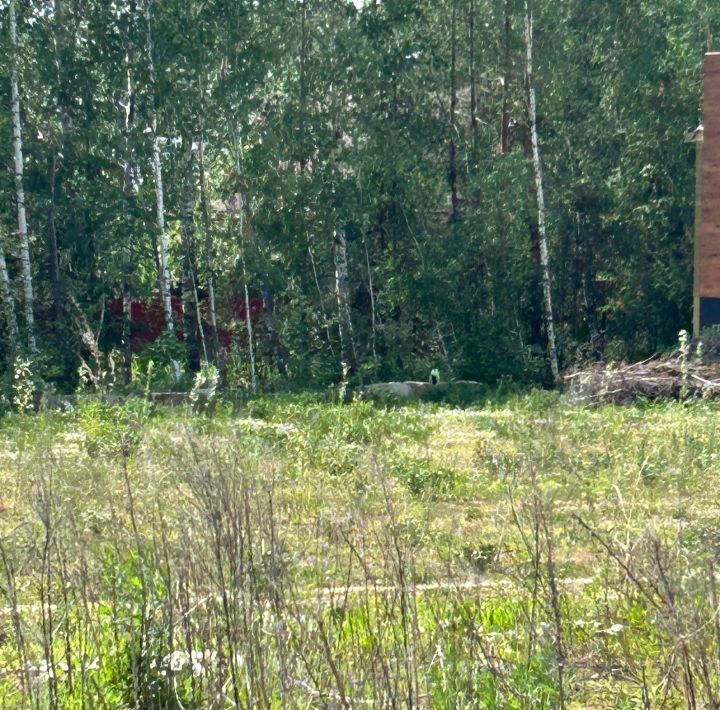 офис городской округ Раменский д Осеченки Удельная фото 1