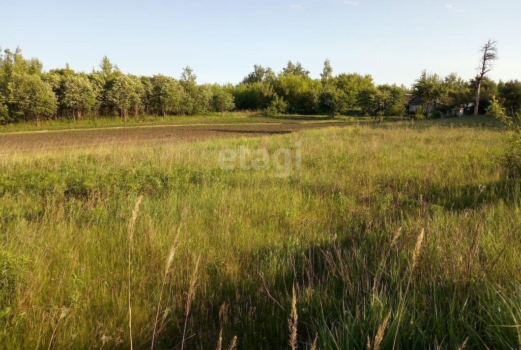 земля р-н Орловский д Кулики фото 4