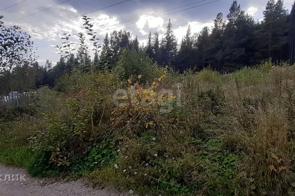 земля г Златоуст Златоустовский городской округ, проспект Юрия Гагарина фото 3