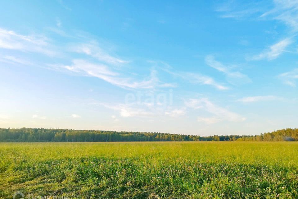 земля р-н Ярославский фото 4