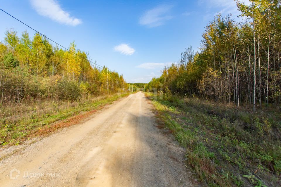 земля р-н Тобольский село Карачино фото 4