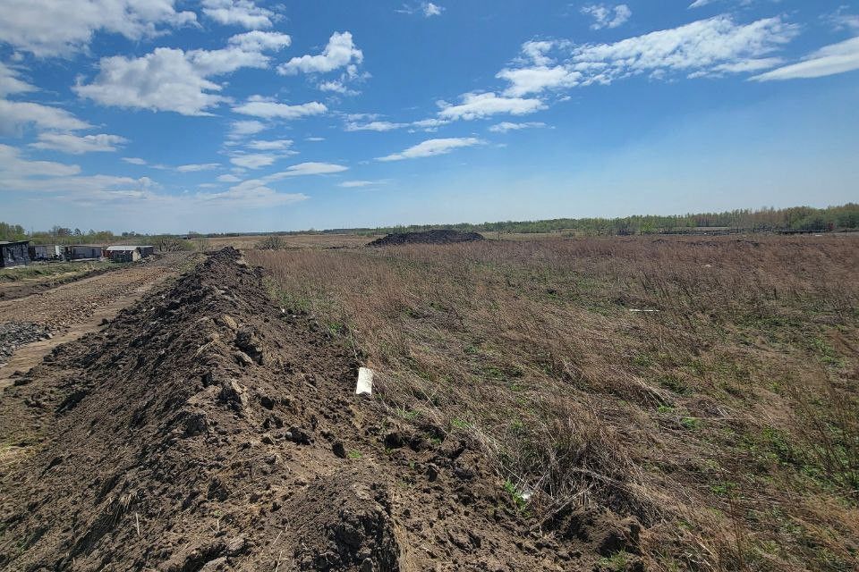 земля р-н Хабаровский Тополево фото 4