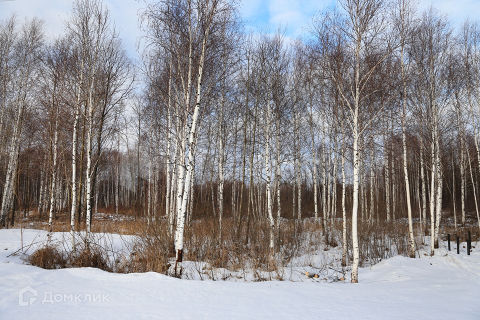 земля р-н Нижнетавдинский фото 9