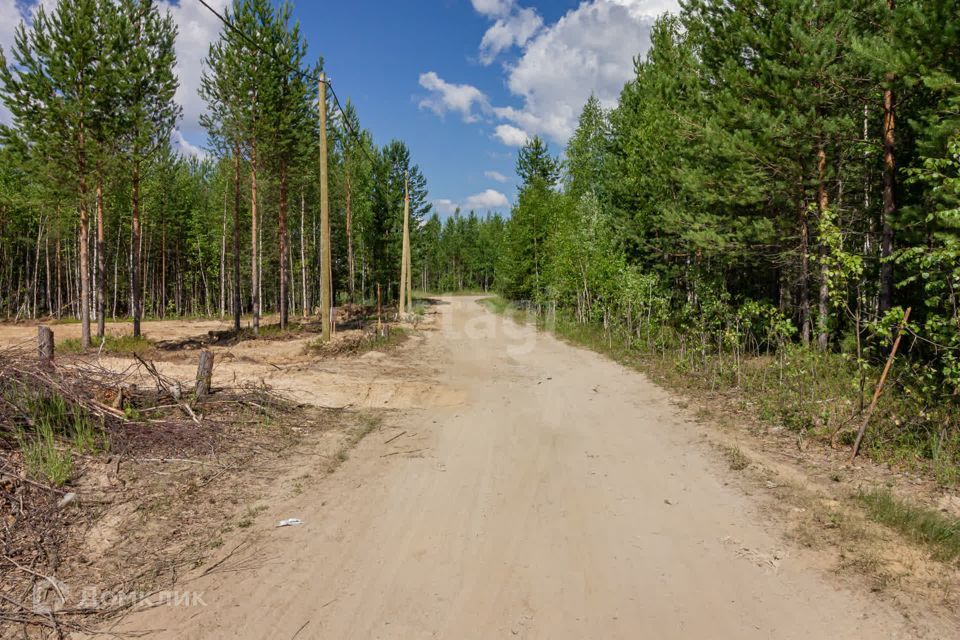 земля Сургут городской округ, Ханты-Мансийский автономный округ — Югра, СТСН 59 Грибное фото 7