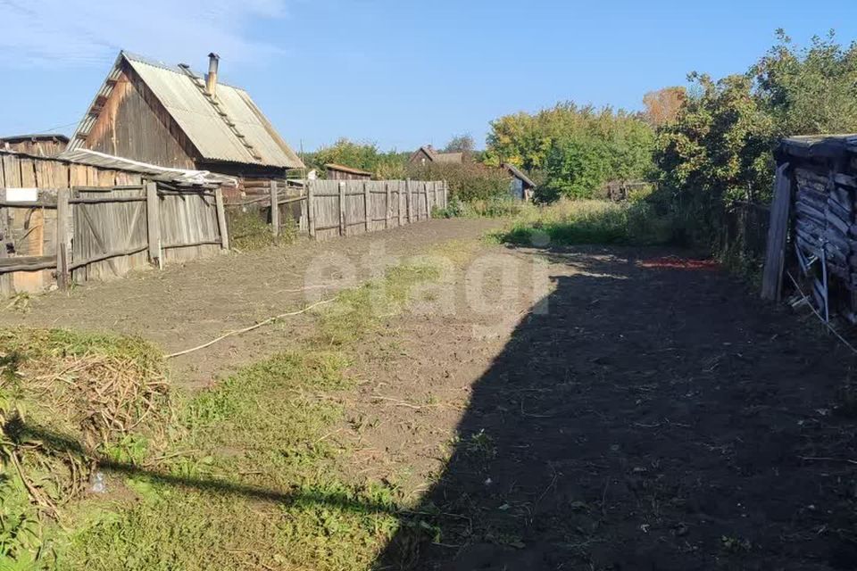 земля Озерский городской округ, Восточно-Уральский заповедник фото 9