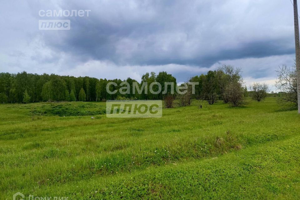 земля р-н Сосновский п Сагаусты ул Центральная фото 4