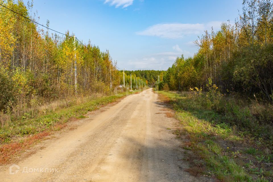 земля р-н Тобольский село Карачино фото 5