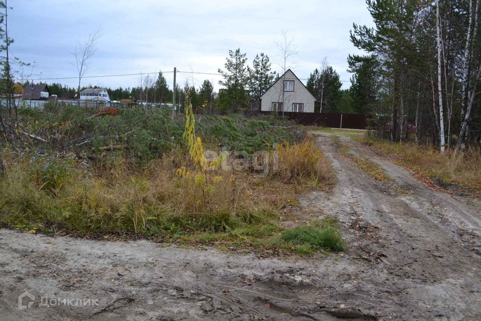 земля г Сургут Сургут городской округ, СОИДНТ 62 Клюквенное фото 5