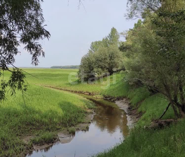 земля р-н Сургутский фото 6